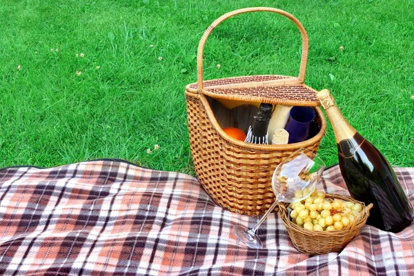 Nyári piknik a bor, a gyep fogalma — Stock Fotó