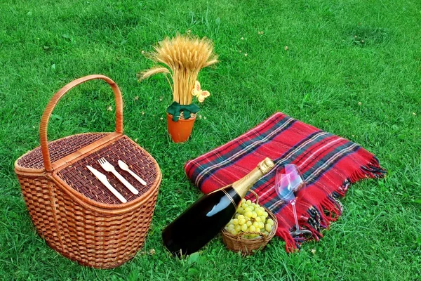 Летний пикник с вином на лужайке — стоковое фото