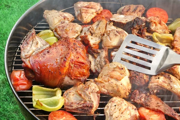 Churrasco sorteado carne e legumes no quente flamejante Grill — Fotografia de Stock
