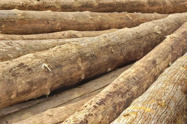 Veel grote dennenbos logt In grote houtstapel achtergrondstructuur — Stockfoto
