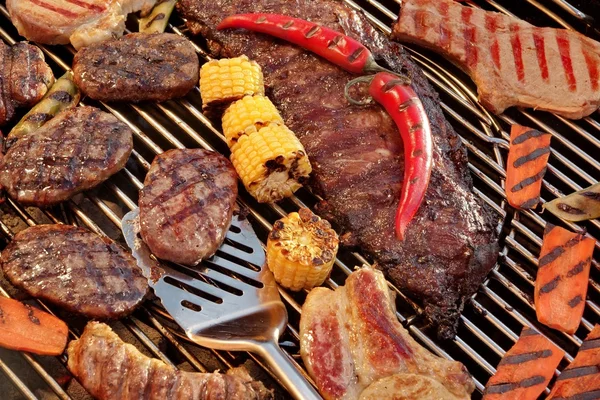 Carne grelhada sortida com legumes na churrasqueira quente — Fotografia de Stock