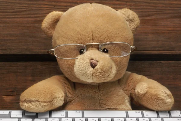 Teddybär mit drahtloser Tastatur vor dem Computerbildschirm Stockbild