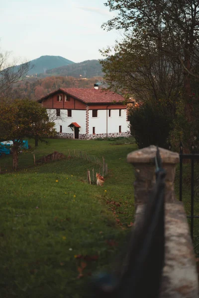 Geleneksel Bask kır evinin arka bahçesinde dışarıda bir köpek var.