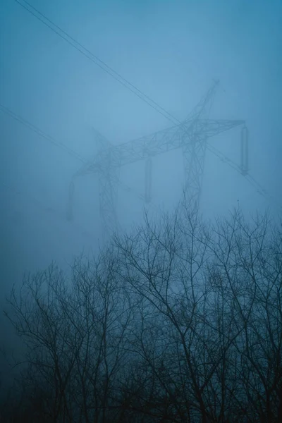Elektrický Sloup Stromem Bez Listí Během Zamlženého Zimního Dne — Stock fotografie
