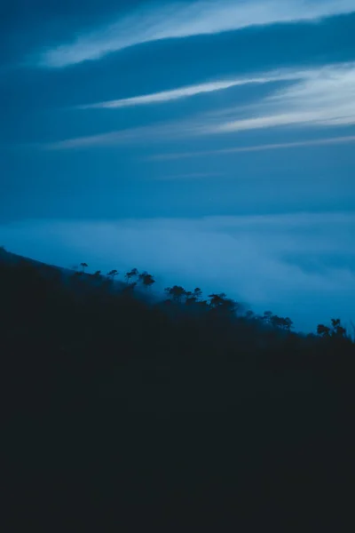 Brouillard Roulant Travers Les Arbres Pendant Heure Bleue Jaizkibel Pays — Photo