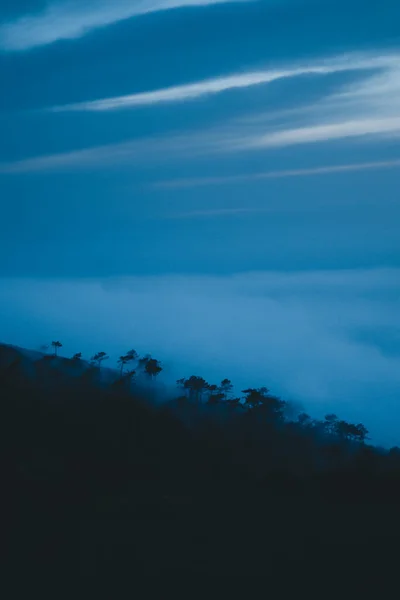 Nevoeiro Rolando Pelas Árvores Durante Hora Azul Jaizkibel País Basco — Fotografia de Stock