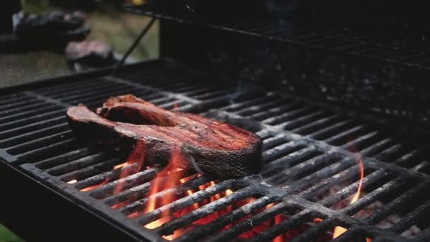 Bife Salmão Grelhado Churrasco Frutos Mar Grelha Cozinheiro Coloca Pedaço — Vídeo de Stock