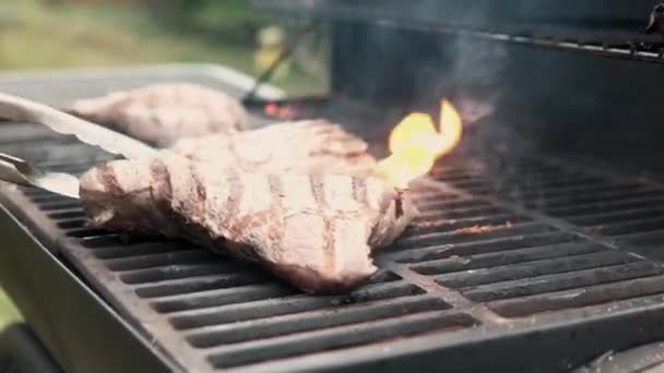Cottura Deliziosa Bistecca Carne Succosa Carboni Ardenti Barbecue Fuoco Fiamme — Video Stock