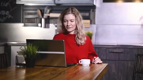 Mutlu Girişimci Kızın Portresi Ofisinin Mutfağında Dizüstü Bilgisayarında Beklenmedik Güzel — Stok video
