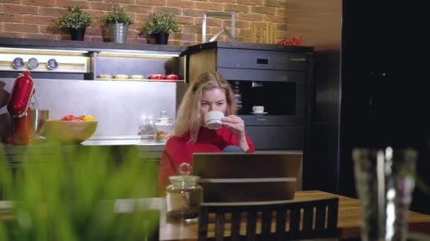 Freiberuflerin Arbeitet Hause Der Küche Eine Geschäftsfrau Sitzt Einem Schreibtisch — Stockvideo