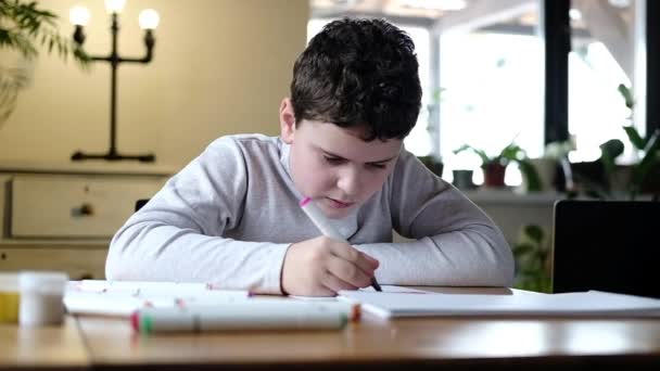 Menino Idade Escolar Entusiasticamente Desenha Belos Quadros Álbum Criança Aprende — Vídeo de Stock