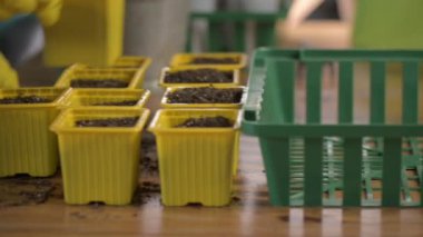 Eldivenli çiftçi yeşil bahçe kutusuna toprak turbalı plastik tencereler ve organik gübreler koyar. Eko Çiftçilik. Sebzelerle ilgileniyorum. Tarımda organik sebzelerin yetiştirilmesi