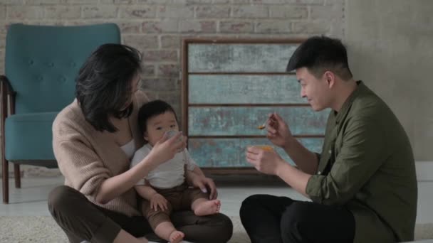Alimentar Bebé Pais Jovens Alegremente Alimentam Bebê Colher Com Batatas — Vídeo de Stock