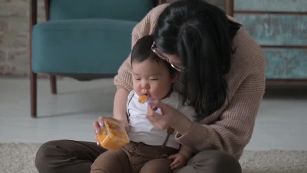 Gelukkig Aziatisch Jong Moeder Houdt Een Baby Haar Schoot Een — Stockvideo