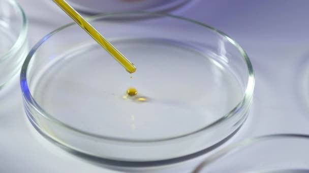 페트리 실험실에서의 과학적 미생물학적 박테리아와 용액을 연구하는 화학자 피펫에서 물질을 — 비디오