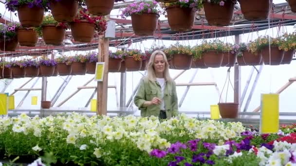 Květinářství Dospělá Fena Farmář Péče Pěstování Rostlin Skleníku Žena Zahradník — Stock video