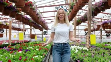 Neşeli kadın bahçıvan çiçekçi elinde çiçeklerle çiçekçide neşeli bir şekilde dans ederek serada dolaşıyor. Kadın çiftçi bir serada çalışıyor. Favori bir hobisi var.
