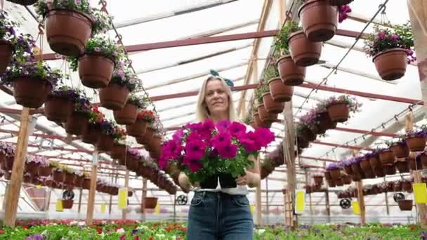 Satisfăcut Femeie Grădinar Florar Plimbări Prin Seră Deține Flori Cutie — Videoclip de stoc