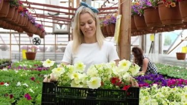 Botanik serasında renkli çiçeklerin arasında çalışan kadın bahçıvanın portresi. Neşeli çiçekçi çiçekçide duruyor ve elinde satılık çiçek kutusunu tutuyor kameraya bakıyor ve gülümsüyor..
