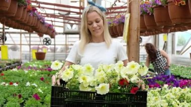 Kadın bahçıvan, serada diğer işçilerle birlikte renkli çiçeklerin arasında çalışıyor. Neşeli çiçekçi çiçekçide duruyor ve elinde satılık güzel çiçeklerle kameraya bakıyor ve gülümsüyor..