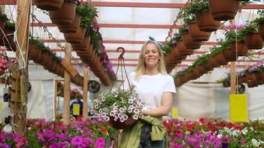 Mutlu kadın bahçıvan çiçek sıralarının arasında yürüyor ve elinde bir saksı renkli çiçek tutuyor. Çiçekçi çiçek serasında çalışır ve büyür ve çiçeklerle ilgilenir. Hobi olarak bahçe işleri kavramı