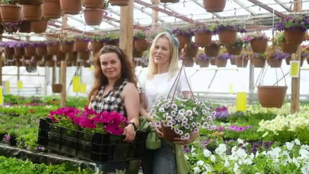 Duas Agricultoras Estão Entre Fileiras Flores Segurando Caixas Plantas Olhando — Vídeo de Stock