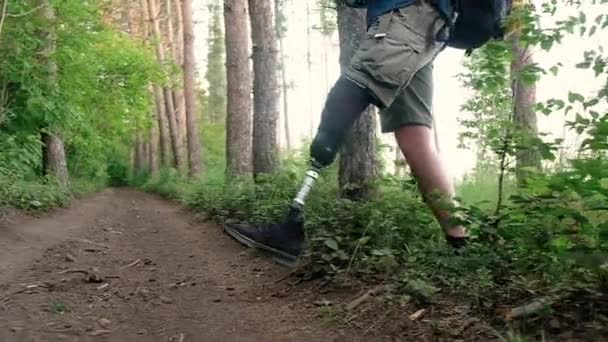 Mann Mit Rucksack Ist Fuß Auf Waldwegen Unterwegs Ein Behinderter — Stockvideo