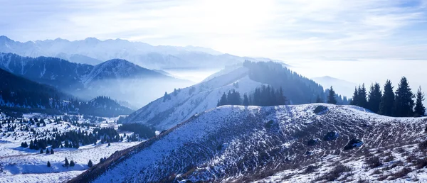 Dağlarda sisli gün batımı — Stok fotoğraf