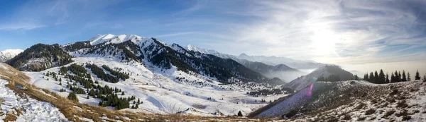 Nebel in den Bergen — Stockfoto