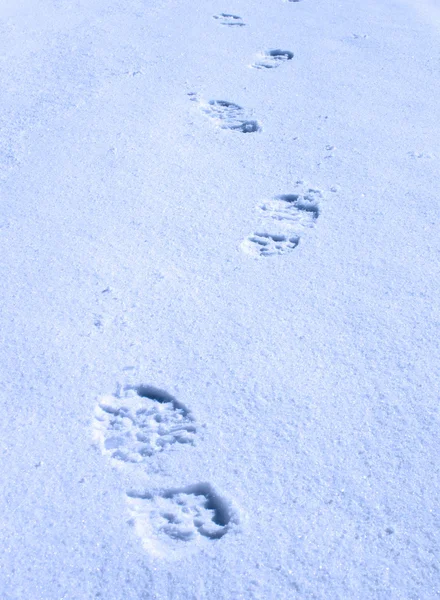 雪の中の足跡 — ストック写真