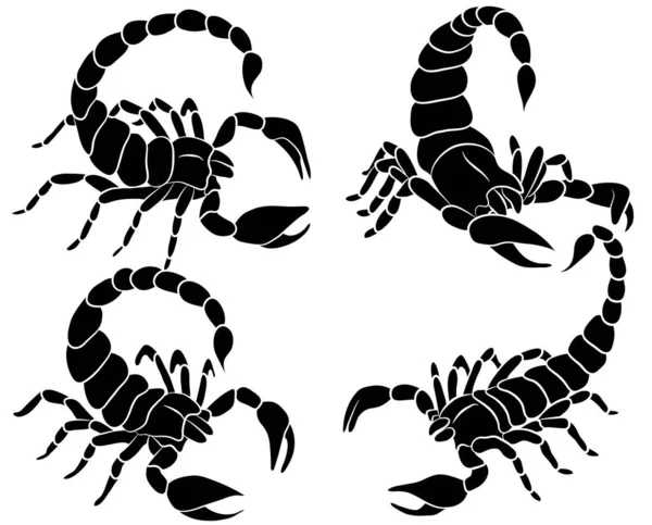 Graficzny Zestaw Skorpionów Wyizolowany Białym Tle Różnych Pozach Ilustracja Wektorowa — Wektor stockowy