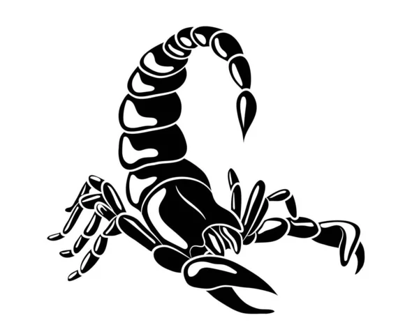 Skorpion Graficzny Izolowany Białym Tle Ilustracja Wektorowa Tatuażu Nadruku — Wektor stockowy
