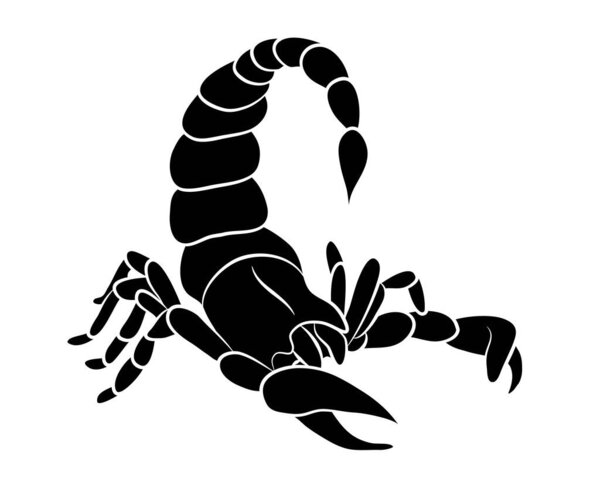 Графический скорпион изолирован на белом фоне, векторная иллюстрация для татуировки и печати