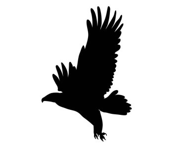 Siyah siluet çizgi film uçan vahşi kartal beyaz arka planda tek başına. Vektör illüstrasyonu.