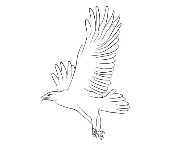 Cartone Animato Volante Aquila Selvatica Isolamento Uno Sfondo Bianco Illustrazione — Vettoriale Stock