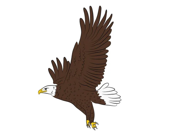 Dibujos Animados Volando Águila Salvaje Aislamiento Sobre Fondo Blanco Ilustración — Archivo Imágenes Vectoriales