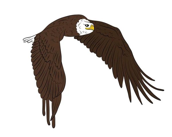 Karikatur Fliegender Wildadler Isoliert Auf Weißem Hintergrund Vektorillustration — Stockvektor