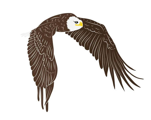 Karikatur Fliegender Wildadler Isoliert Auf Weißem Hintergrund Vektorillustration — Stockvektor