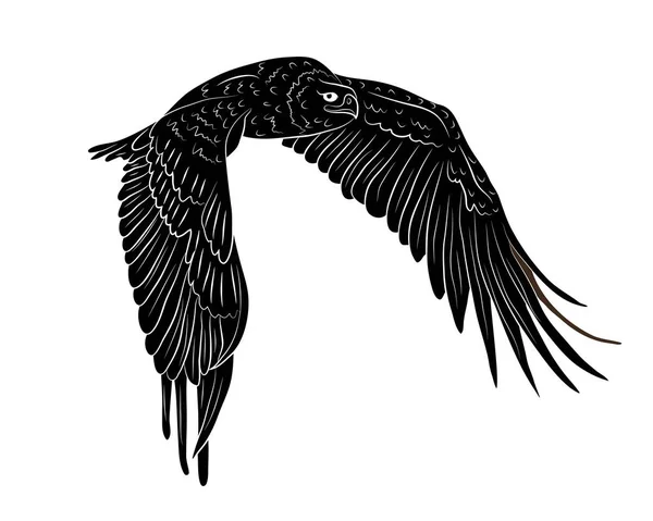 Silueta Negra Dibujos Animados Volando Águila Salvaje Aislamiento Sobre Fondo — Vector de stock