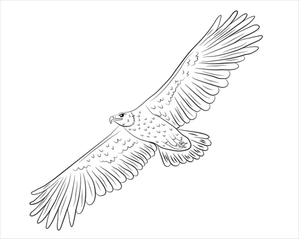 Desenhos Animados Voando Águia Selvagem Isolado Fundo Branco Ilustração Vetorial — Vetor de Stock