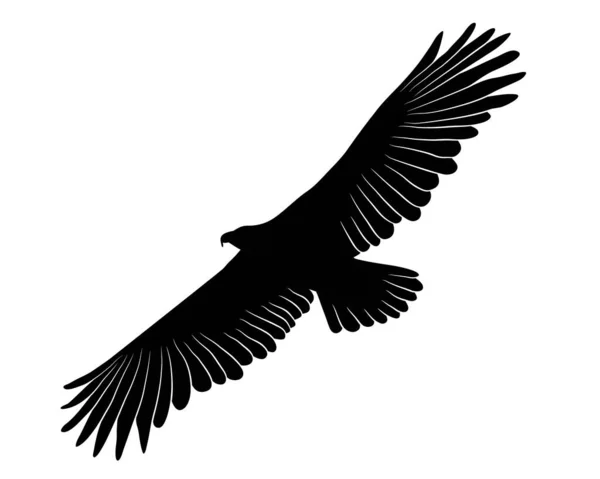 Schwarze Silhouette Cartoon Fliegen Wilde Adler Isoliert Auf Weißem Hintergrund — Stockvektor