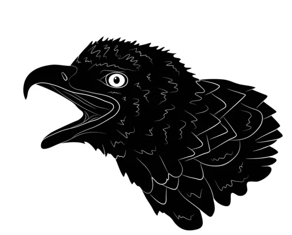 Schwarze Silhouette Porträt Eines Weißkopfseeadlers Isoliert Auf Weißem Hintergrund Vektorillustration — Stockvektor