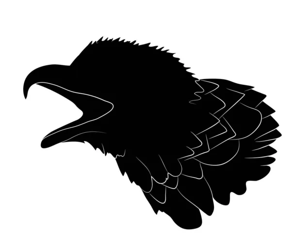 Black Silhouette Portrait Bald Eagle Head Isolate White Background Vector — Stock Vector