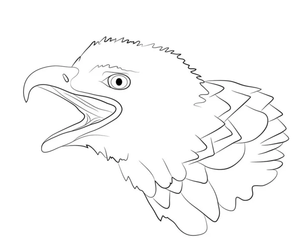 Porträt Des Kopfes Eines Weißkopfseeadlers Isoliert Auf Weißem Hintergrund Vektorillustration — Stockvektor