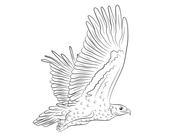 Desenhos Animados Voando Águia Selvagem Isolado Fundo Branco Ilustração Vetorial —  Vetores de Stock