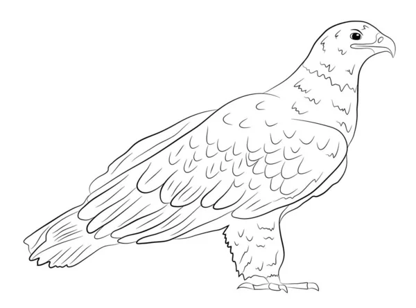 Caricature Aigle Sauvage Isolé Sur Fond Blanc Illustration Vectorielle — Image vectorielle