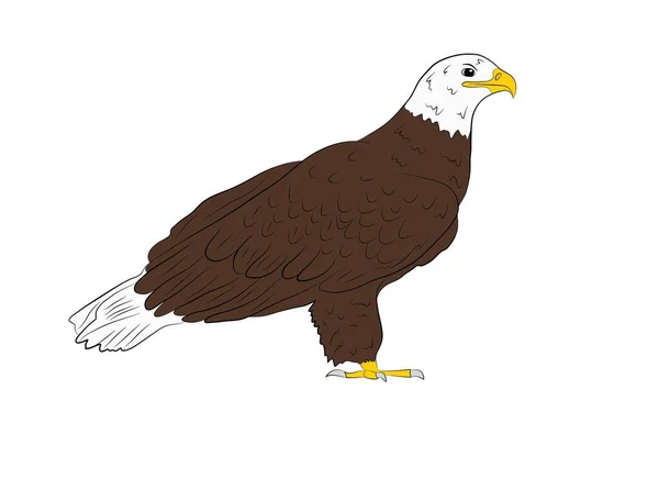 Caricature Aigle Sauvage Isolé Sur Fond Blanc Illustration Vectorielle — Image vectorielle