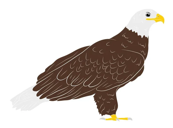 Γελοιογραφία Άγρια Αετός Απομόνωση Λευκό Φόντο Εικονογράφηση Διανύσματος — Διανυσματικό Αρχείο