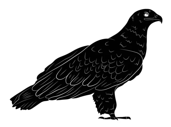 Silhouette Noire Aigle Sauvage Dessin Animé Isolé Sur Fond Blanc — Image vectorielle
