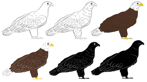 Ensemble Cartoon Aigle Sauvage Isolé Sur Fond Blanc Illustration Vectorielle — Image vectorielle